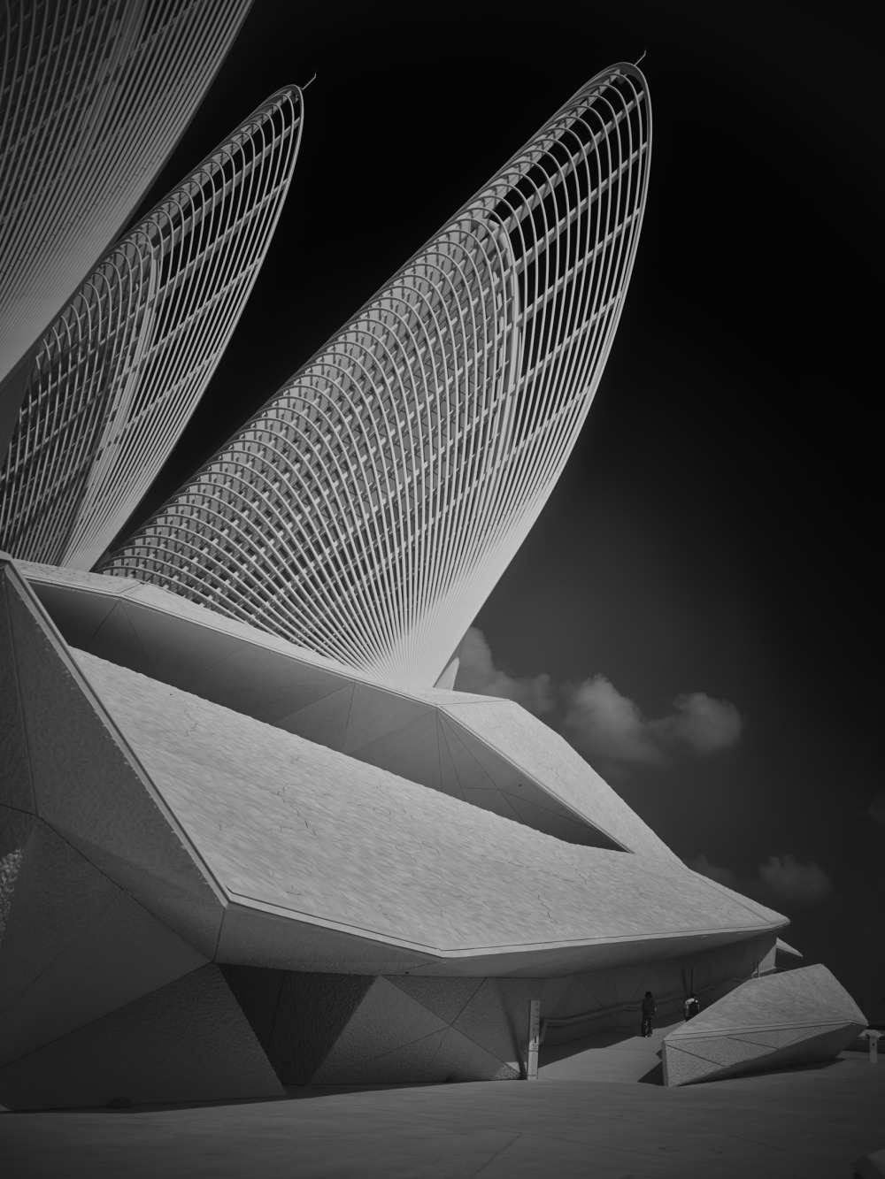 The National Museum of the UAE  collection