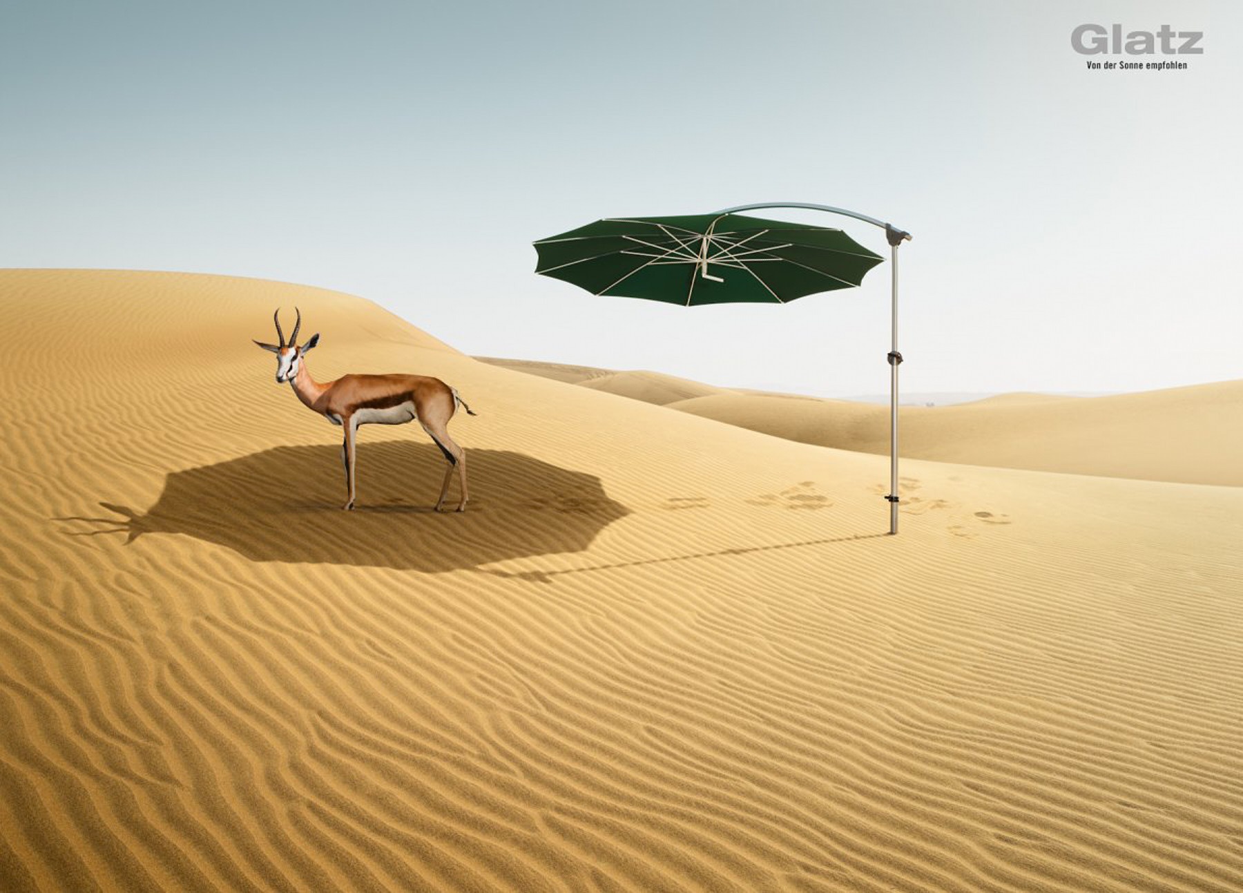 glatz ag campaign dubai (16 images) by Mike Meyer Photography