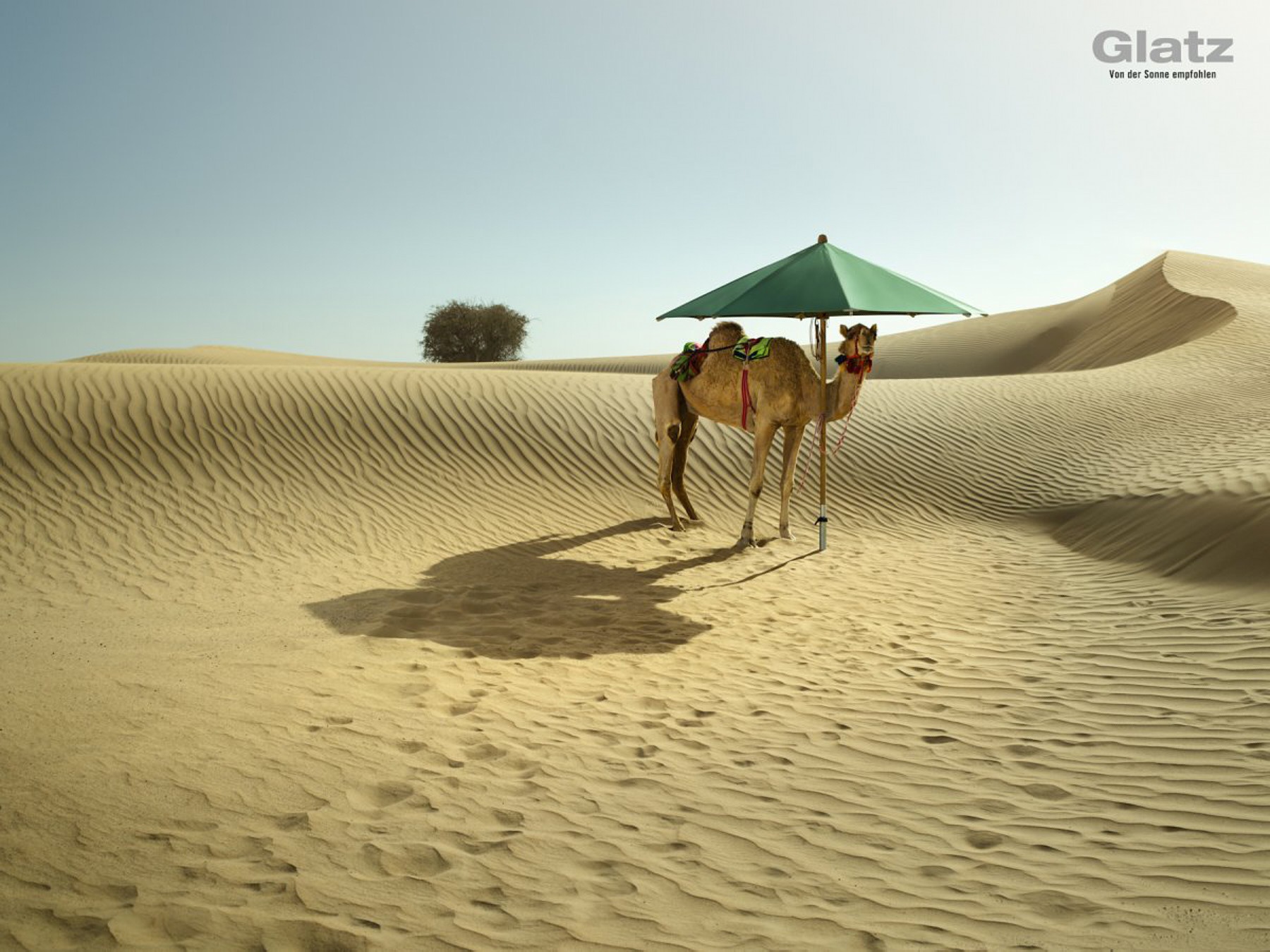 glatz ag campaign dubai (16 images) by Mike Meyer Photography