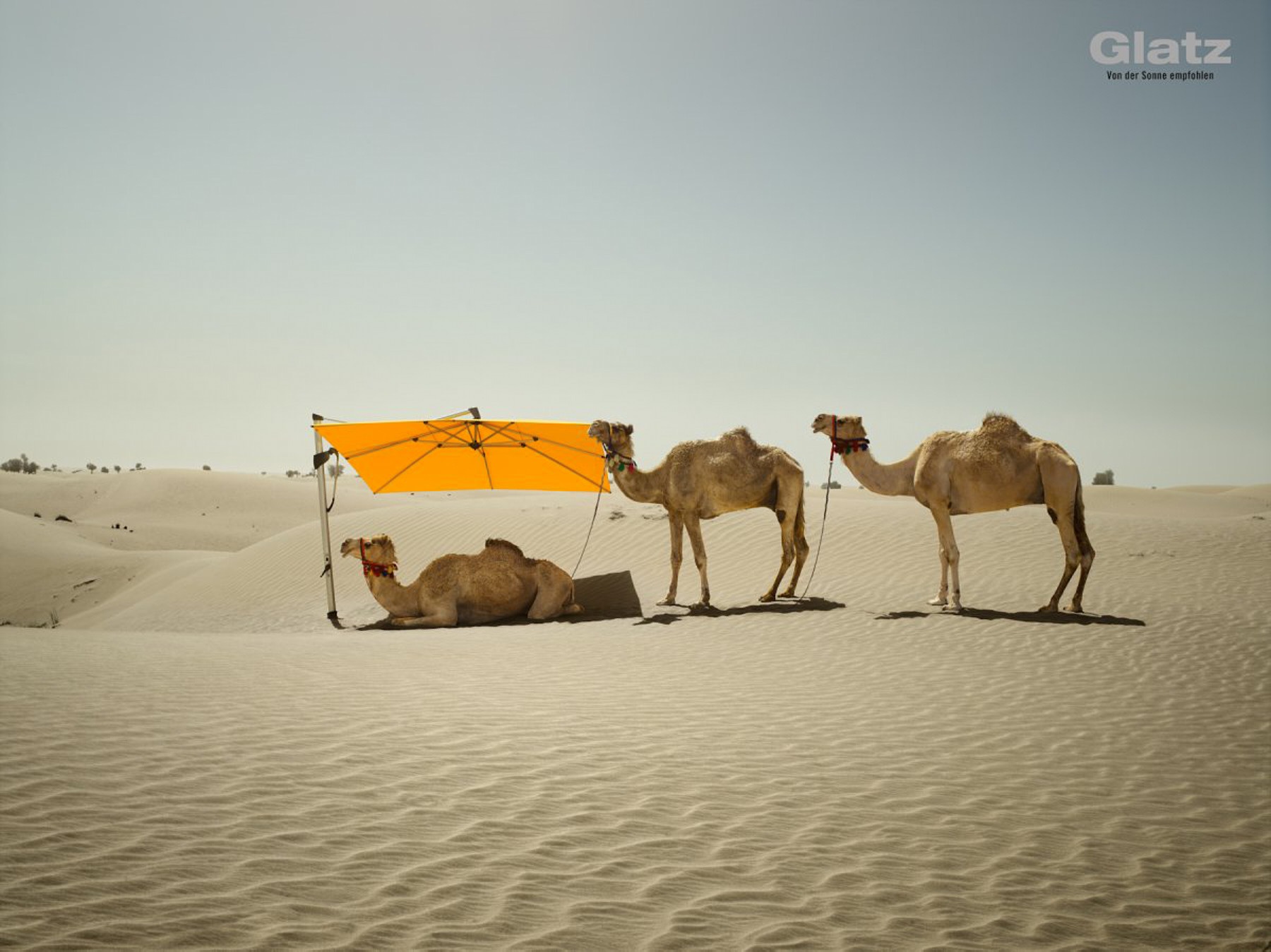 glatz ag campaign dubai (16 images) by Mike Meyer Photography