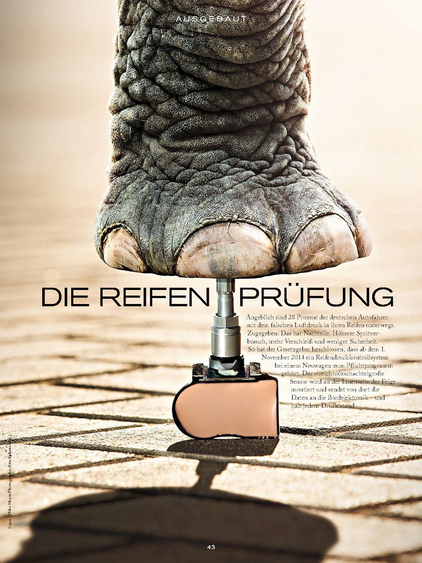 nissan products advertorial (4 images) by Mike Meyer Photography