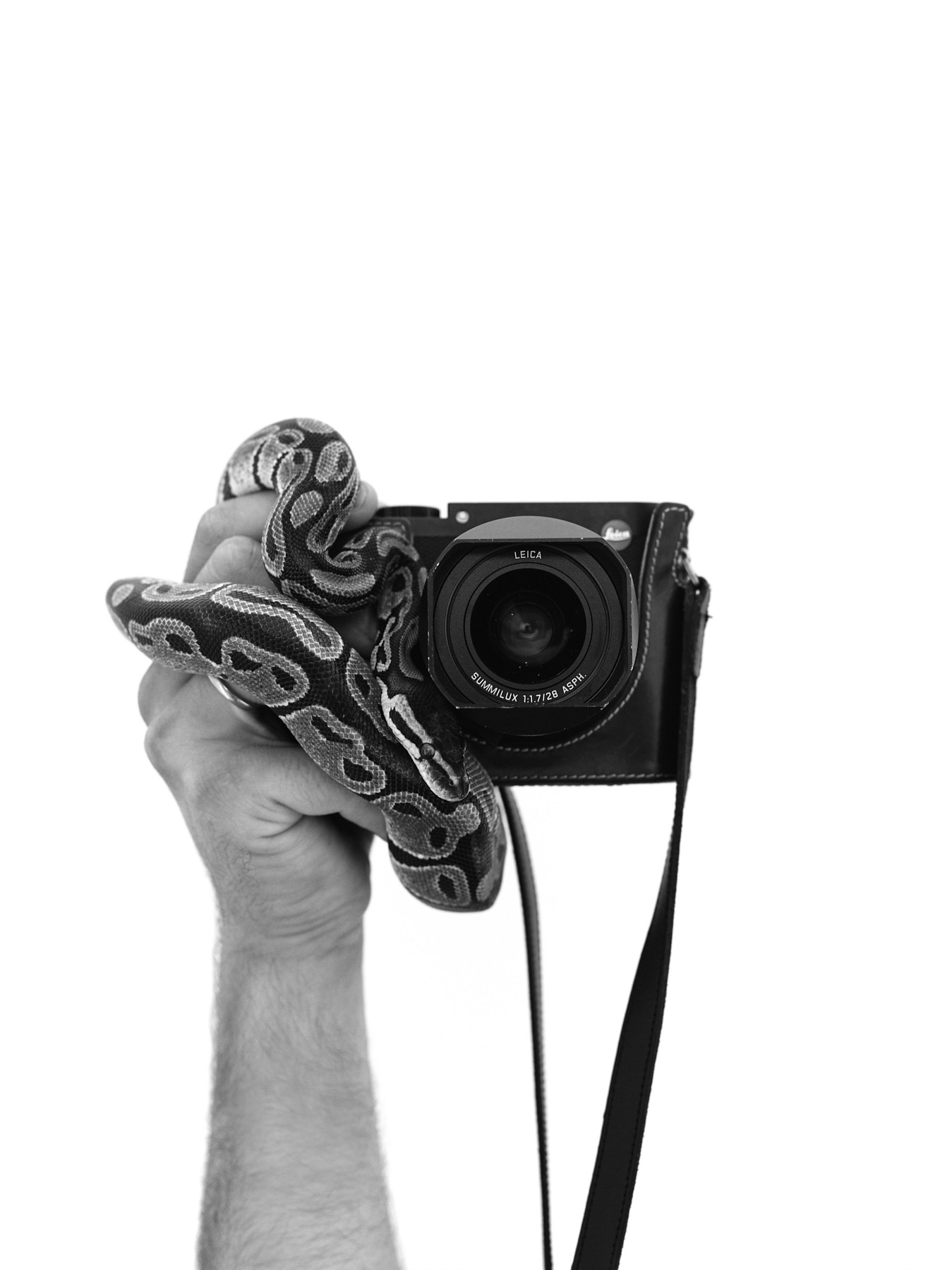 my camera hand  by Mike Meyer Photography