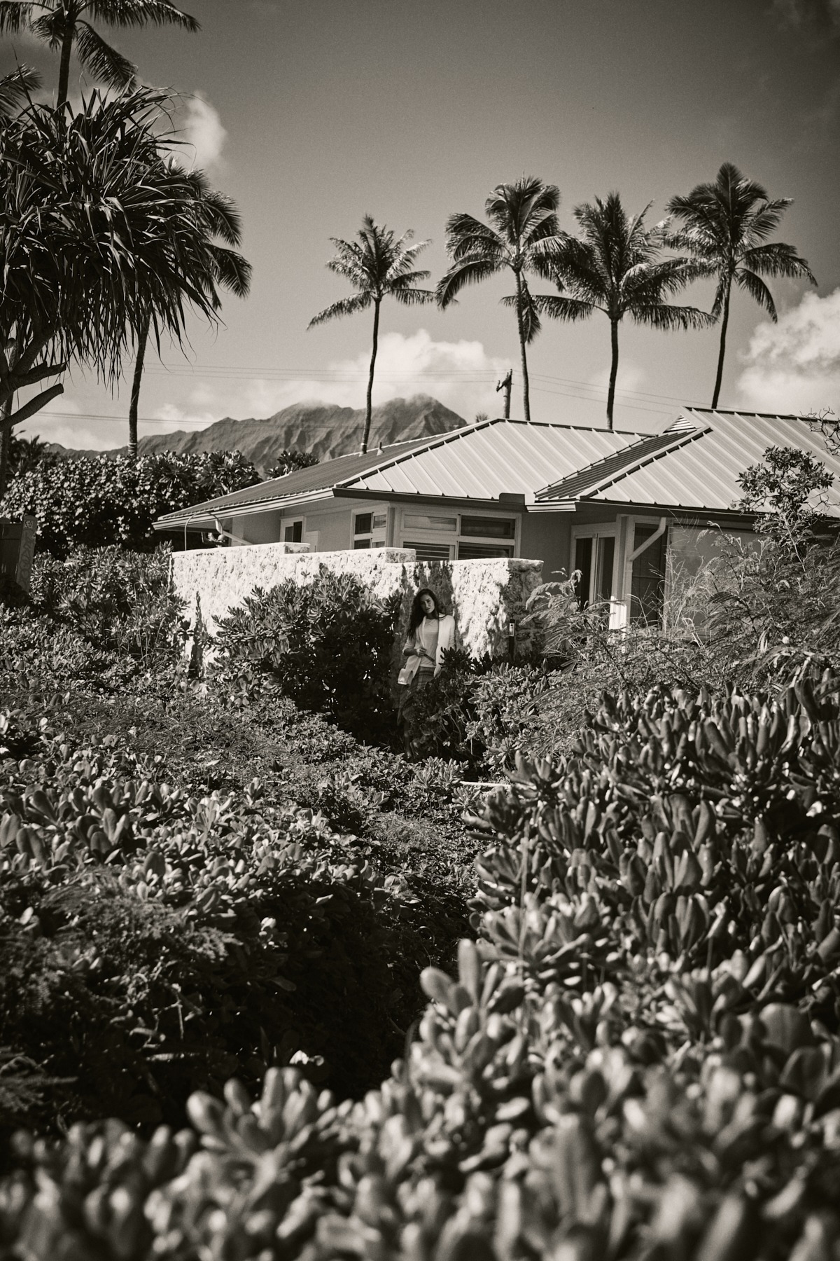 l&t campaign hawaii oahu (76 images) by Mike Meyer Photography