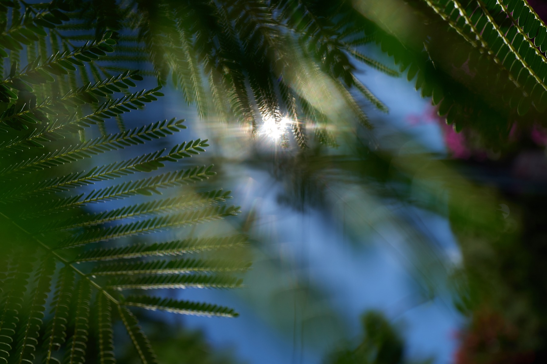 l&t campaign hawaii oahu (76 images) by Mike Meyer Photography