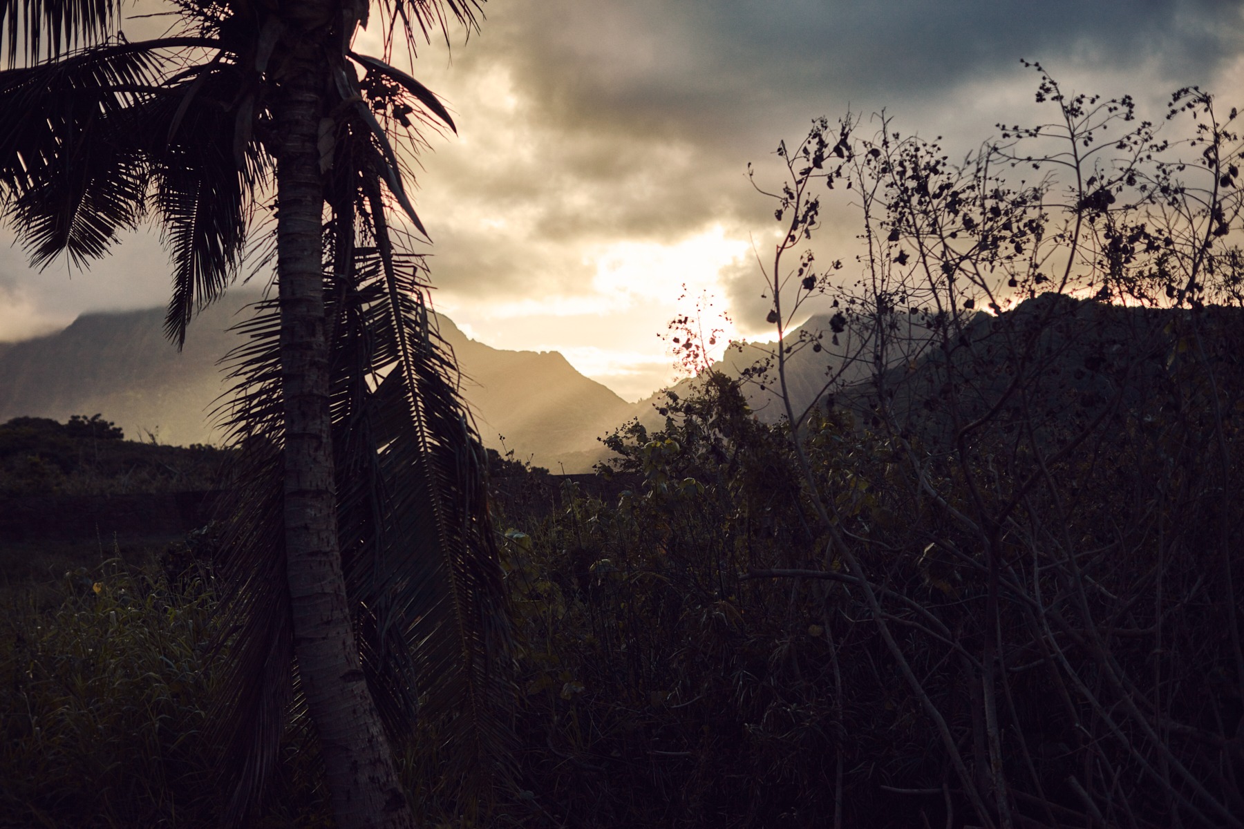 l&t campaign hawaii oahu (76 images) by Mike Meyer Photography