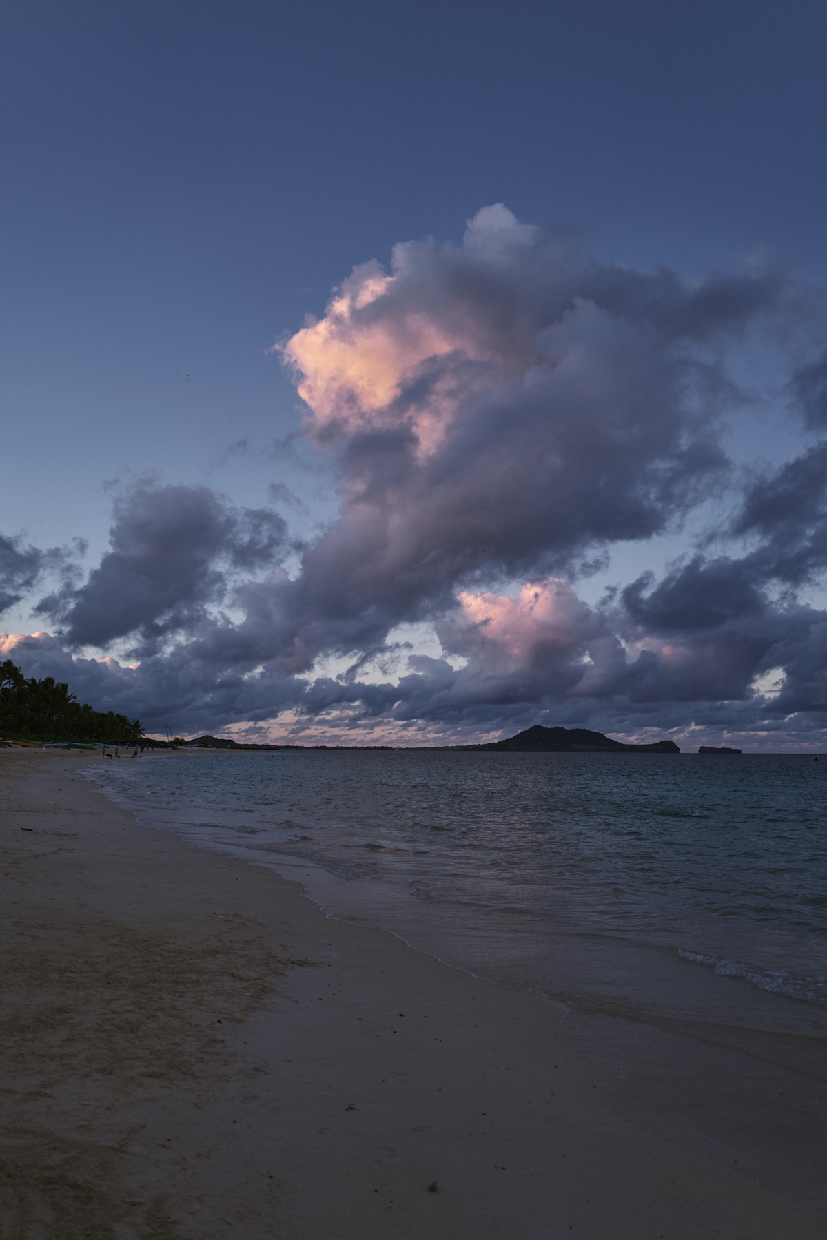 l&t campaign hawaii oahu (76 images) by Mike Meyer Photography