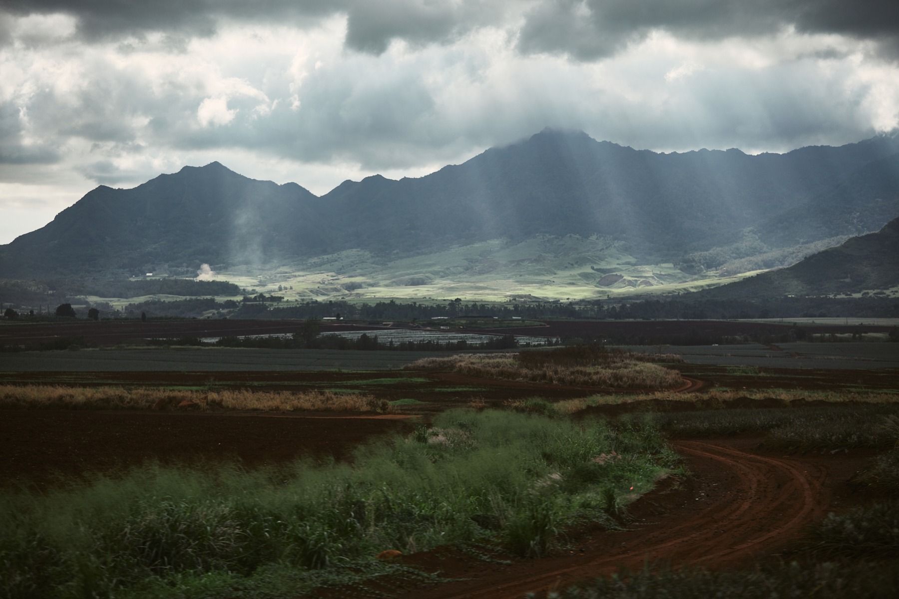 l&t campaign hawaii oahu (76 images) by Mike Meyer Photography