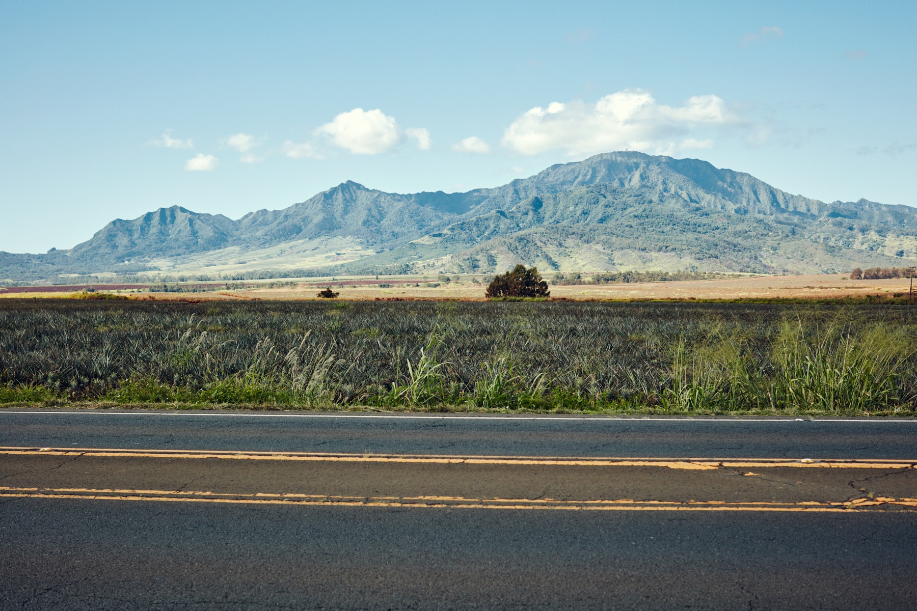 l&t campaign hawaii oahu (76 images) by Mike Meyer Photography