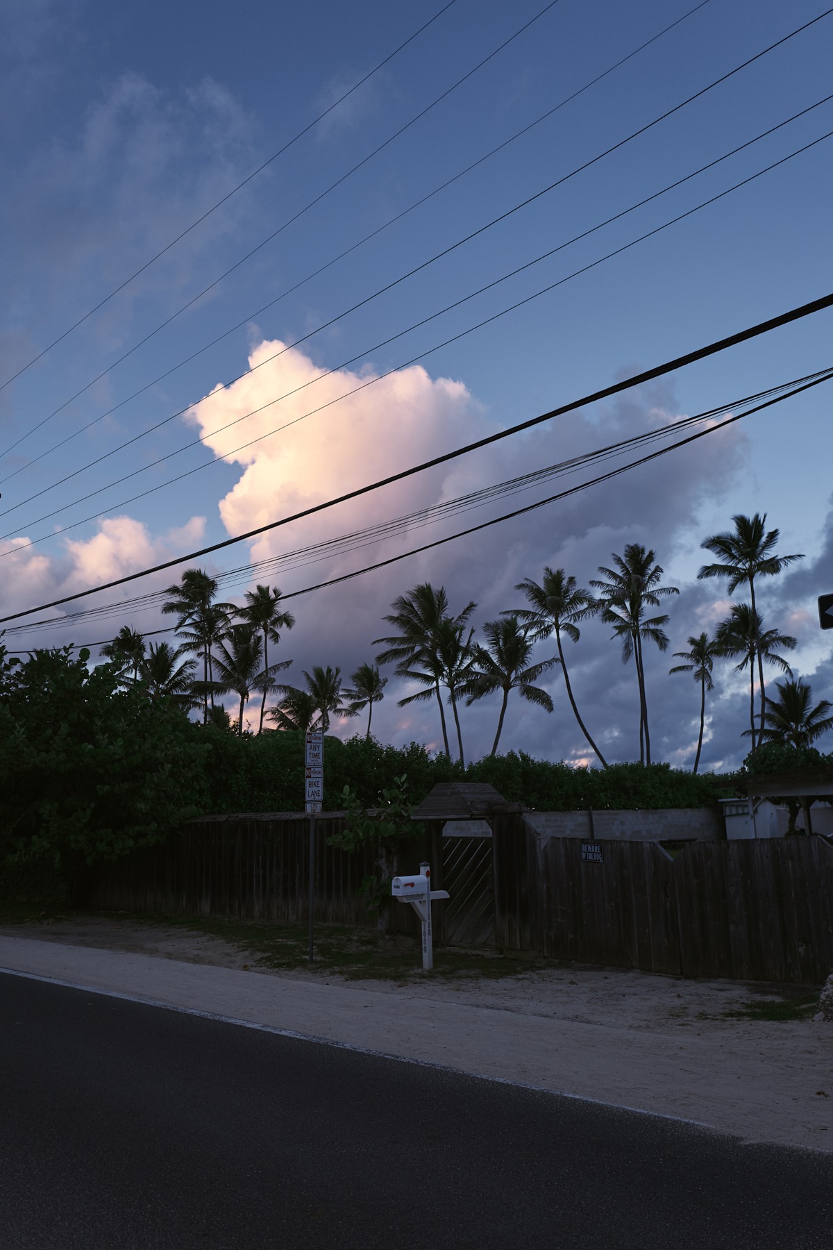 l&t campaign hawaii oahu (76 images) by Mike Meyer Photography