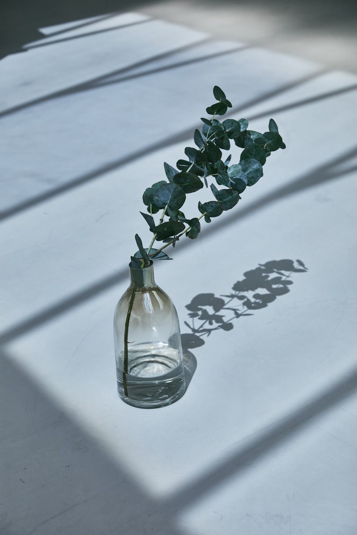saat design studio campaign by Mike Meyer Photography