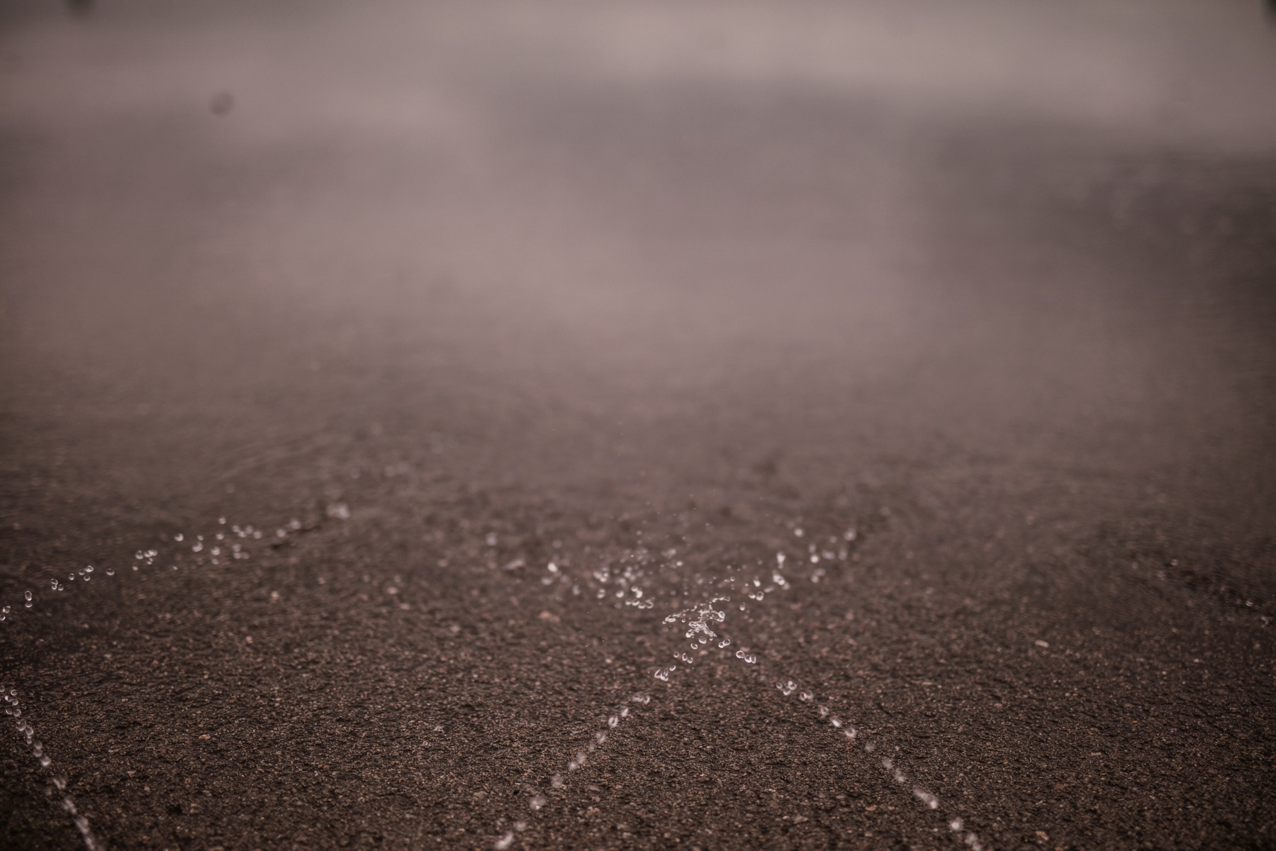 bmw driving experience (7 images) by Mike Meyer Photography
