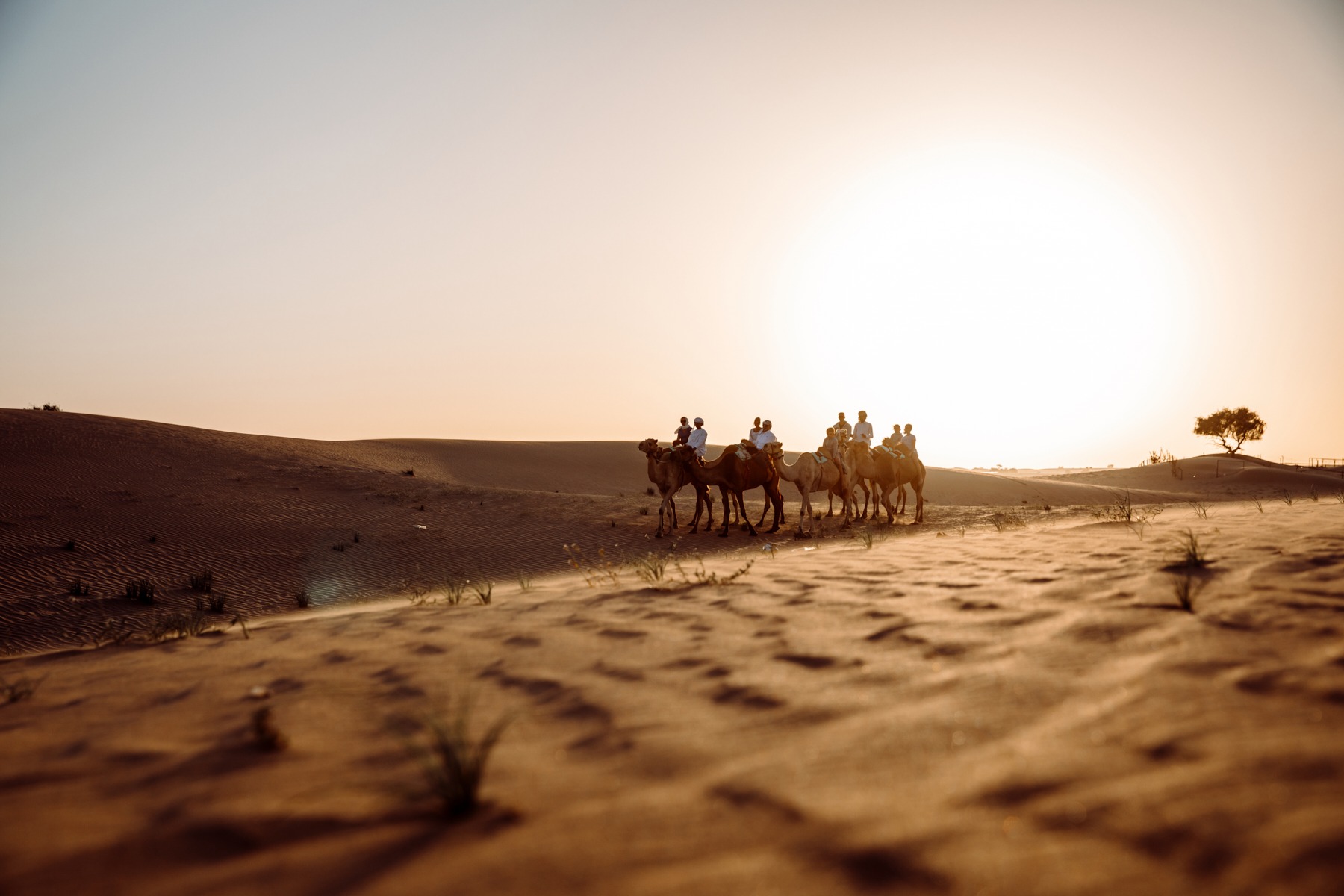 arabic culture collection ministry of abu dhabi (18 images) by Mike Meyer Photography