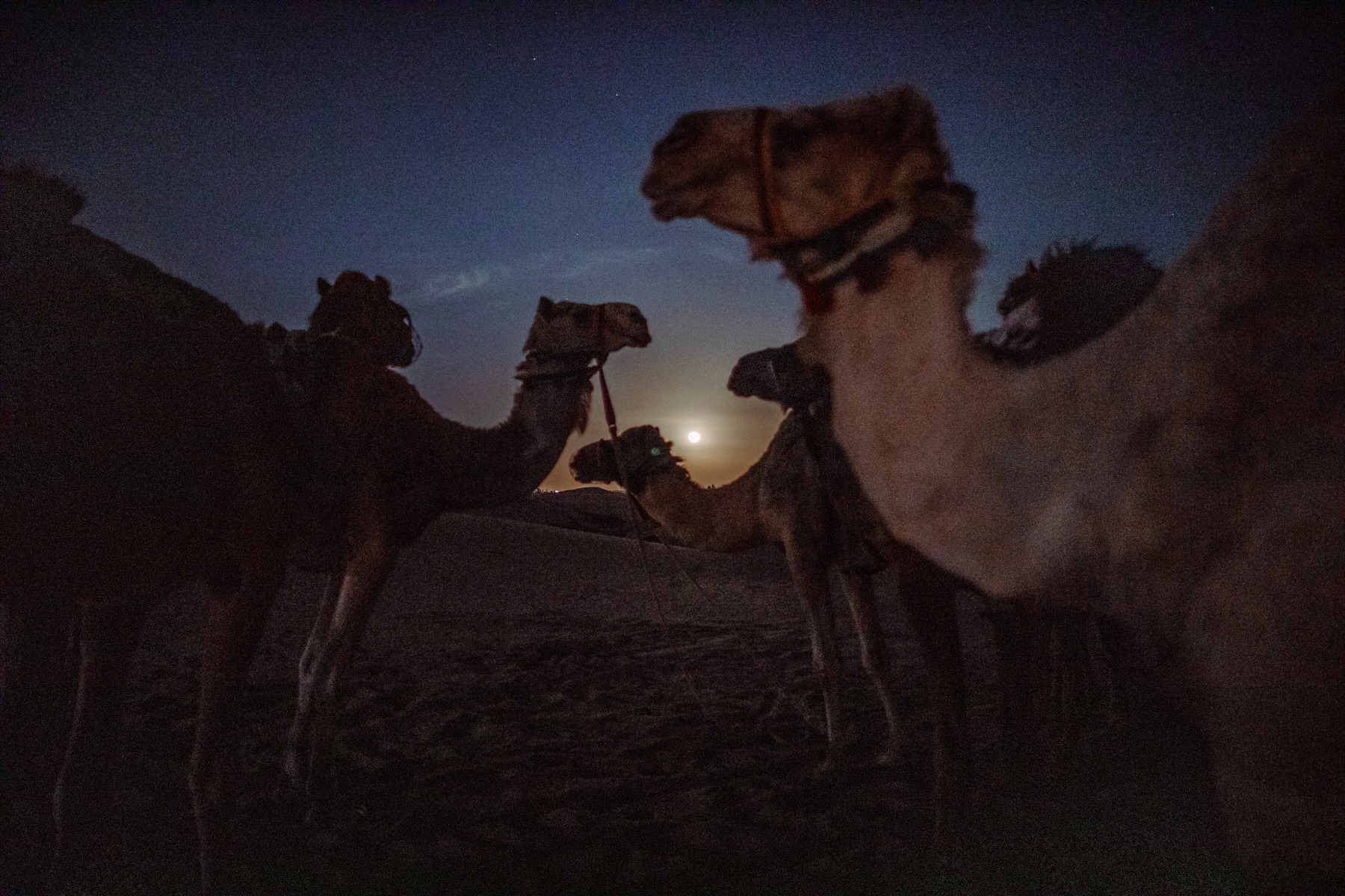arabic culture collection ministry of abu dhabi (18 images) by Mike Meyer Photography