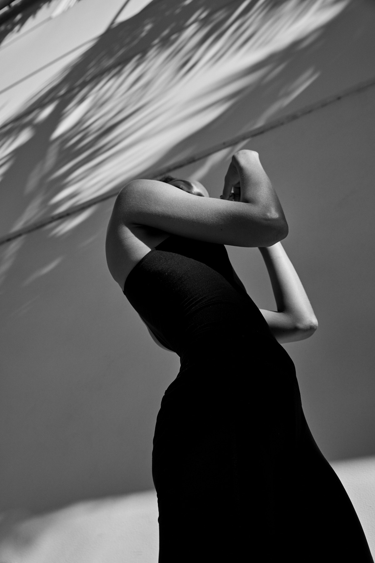  by Mike Meyer Photography