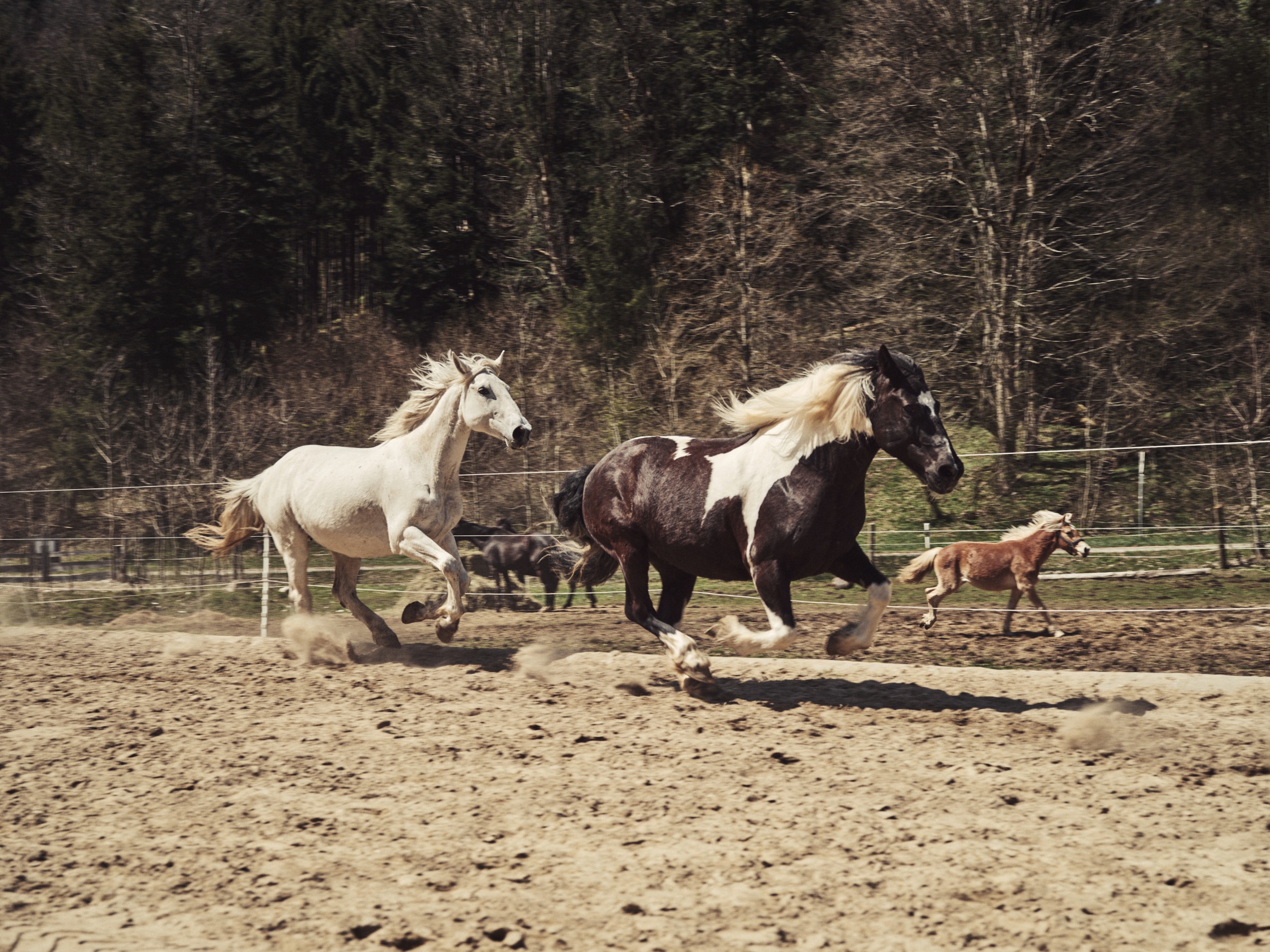 mustang global campaign berchtesgaden by Mike Meyer Photography