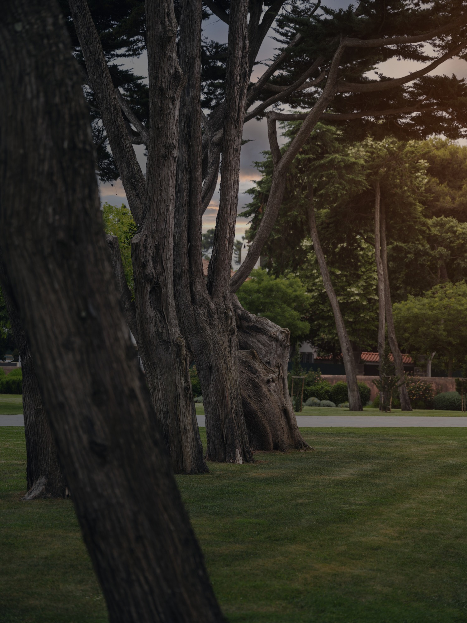 glatz ag global campaign portugal (36 images) by Mike Meyer Photography