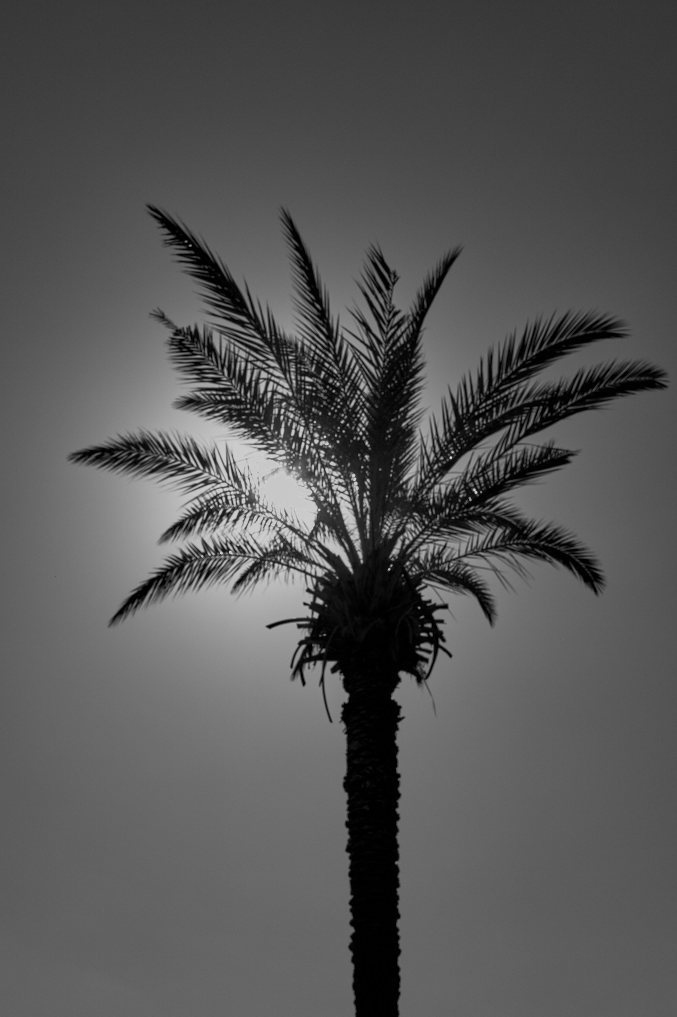 by Mike Meyer Photography
